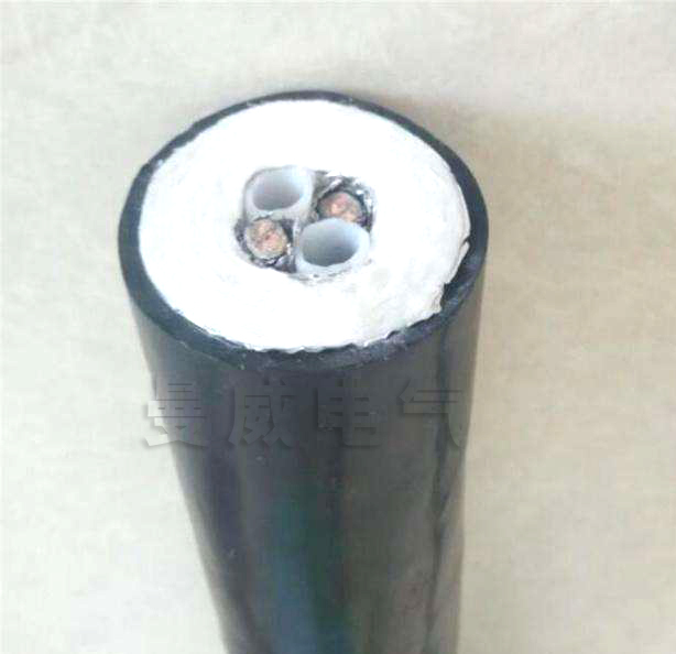 CEMS煙氣在線(xiàn)采集復(fù)合管HRFHT-D36-A1￠8b-O-O-C